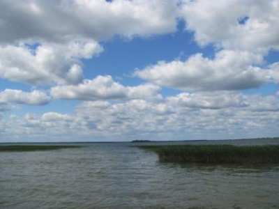 IMG_0737.jpg