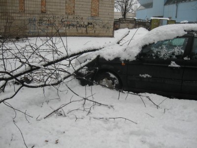 IMG_1534s.jpg