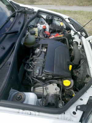 IMG_18-08-2012_135708.jpg