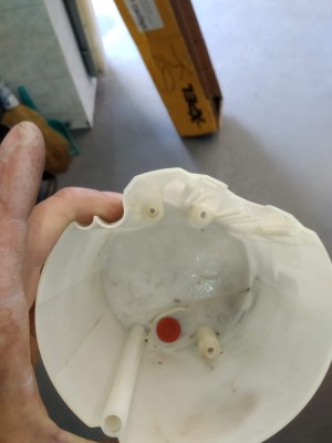 IMG_20190806_113257.jpg