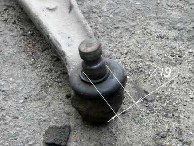 P1010011.JPG