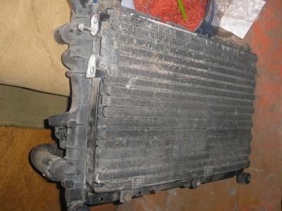 P1010019.JPG