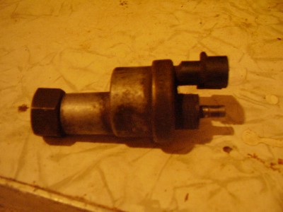 P1010023.JPG