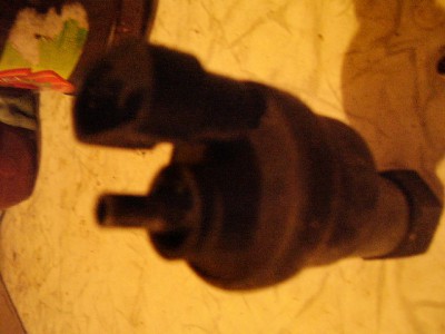 P1010024.JPG