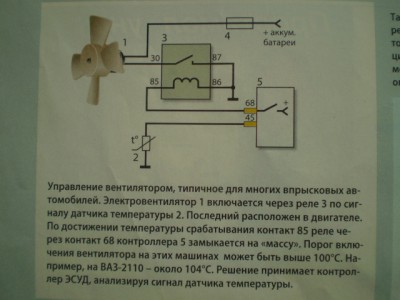 P6240648.JPG