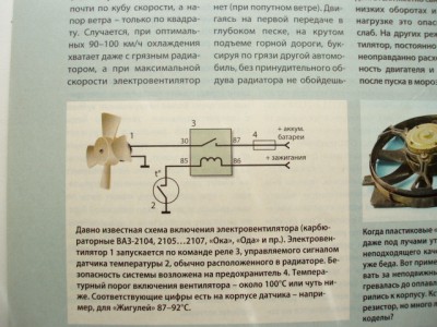 P9208453.JPG