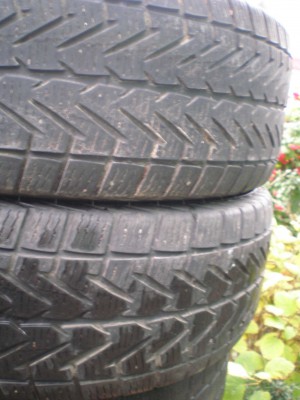 PA050082.JPG