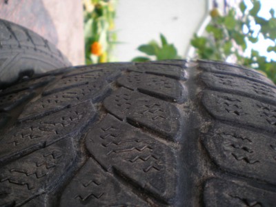 PA050084.JPG