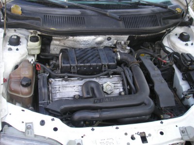 PA310005.JPG