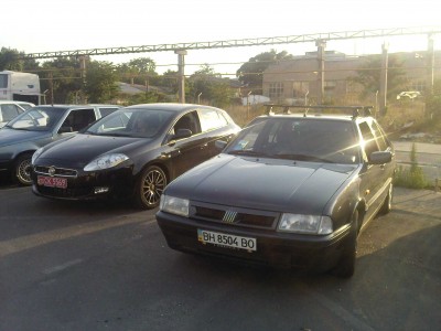 PIC-0310.jpg