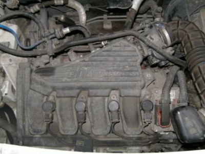 PICT1135.JPG
