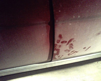 Picture0004.jpg