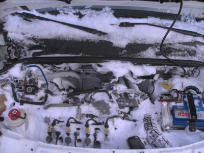SDC16728.JPG