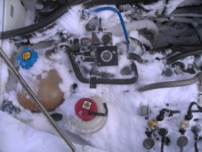 SDC16730.JPG