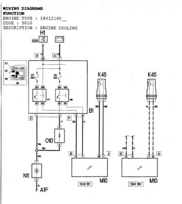 WF0002.JPG