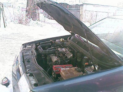x_e6433adf.jpg
