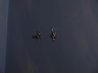 Файл=2-23.jpg
Объём=225KB
Размеры=800x600
Дата=Март 17, 2008 2-23.jpg