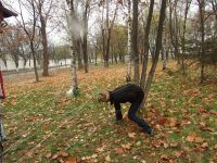 Файл=DSCF4957.JPG
Объём=1568KB
Размеры=2848x2136
Дата=Нояб 17, 2008 DSCF4957.JPG