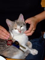 Файл=DSCF5438.JPG
Объём=1296KB
Размеры=2136x2848
Дата=Нояб 17, 2008 DSCF5438.JPG