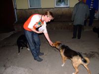 Файл=DSCF8761.JPG
Объём=1412KB
Размеры=2848x2136
Дата=Март 17, 2008 DSCF8761.JPG