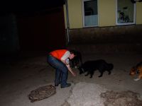 Файл=DSCF8762.JPG
Объём=1421KB
Размеры=2848x2136
Дата=Март 17, 2008 DSCF8762.JPG