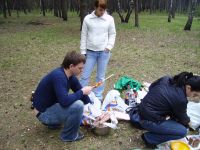 Файл=PICT8259.JPG
Объём=1213KB
Размеры=2560x1920
Дата=Апр 14, 2008 PICT8259.JPG